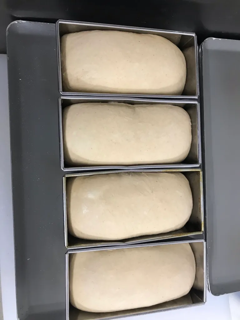 ブリオッシュ焼成前