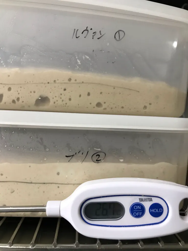 仕込み用のルヴァン種