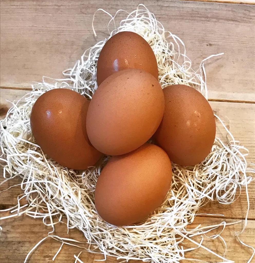 大切に育てられた卵
