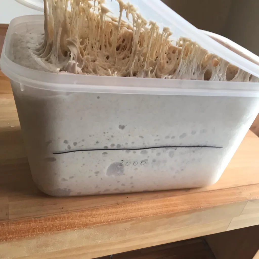 ルヴァン仕上げ種の発酵後