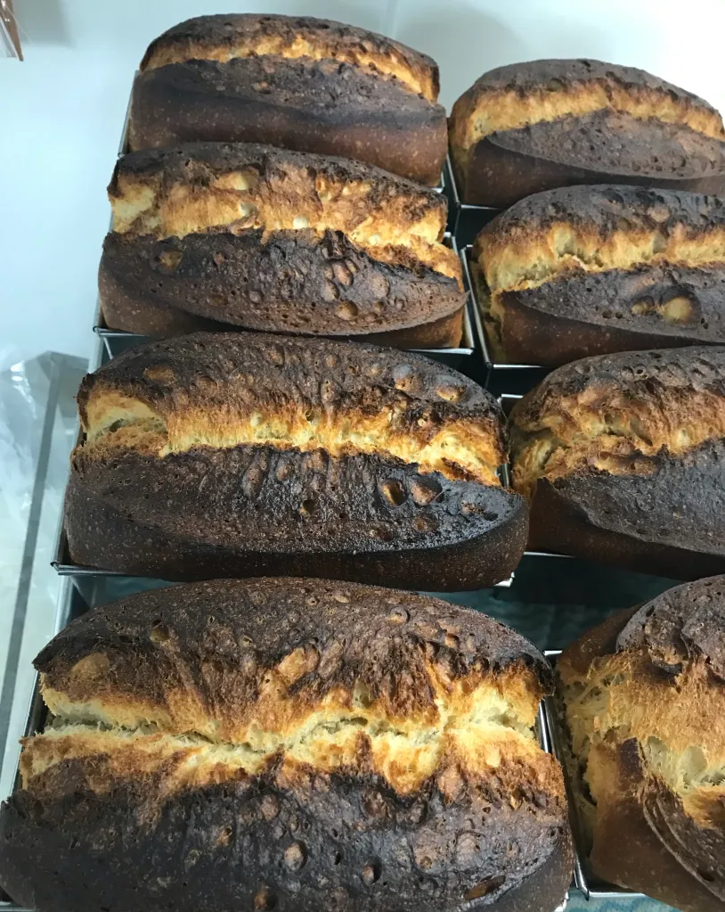 良く焼けたブリオッシュ