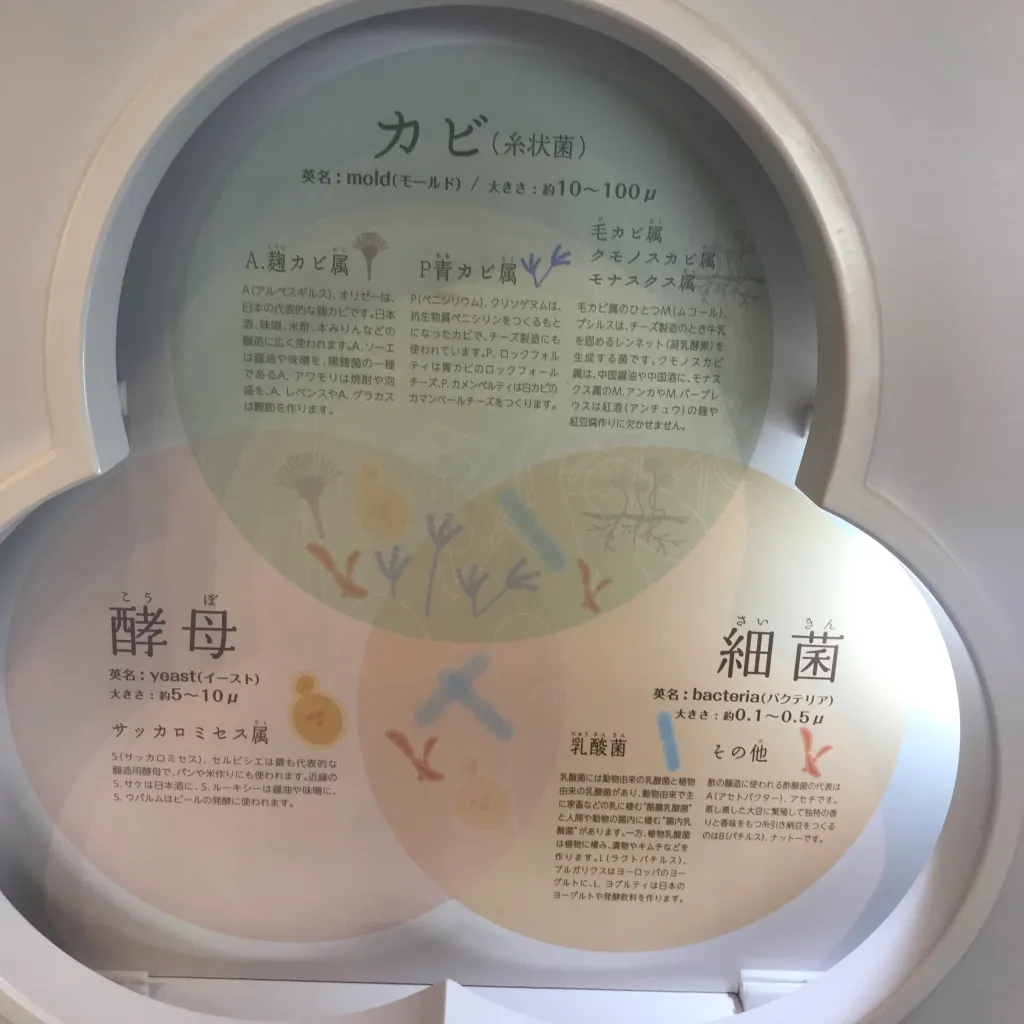 御食国若狭おばま食文化館