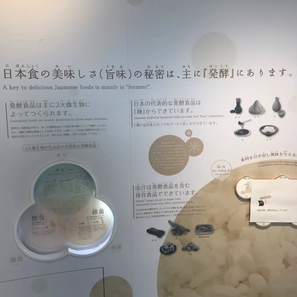 御食国若狭おばま食文化館