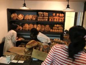 「感動するパンを求めてカモは旅する」